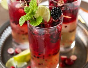 Blackberry Cranberry Moscow Mule Blackberry Cranberry Moscow Mule