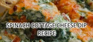 Air Fryer Spinach Cottage Cheese Dip