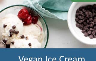 Vegan Ice Cream