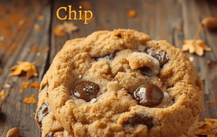 Gluten Free Pumpkin Chocolate Chip Cookies